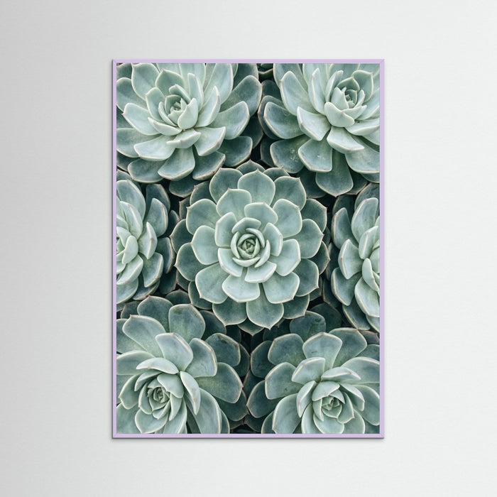 Lilac Wood Cactus Array