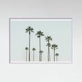 Póster Cali Palms – póster e impresión artística