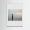 Lilac Wood Coastal Paths