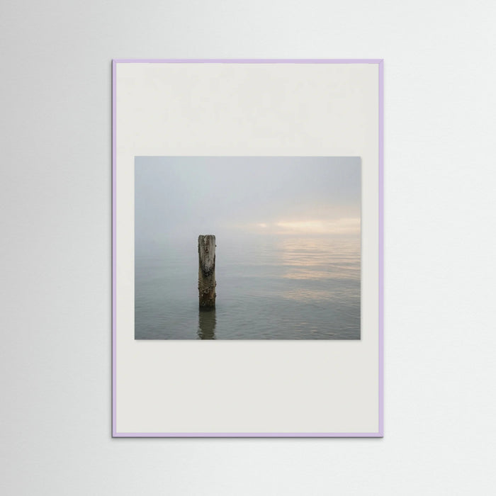 Lilac Wood Coastal Paths