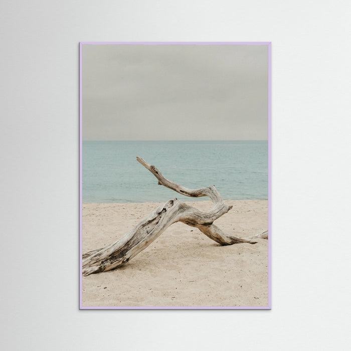 Lilac Wood Coastal Seren