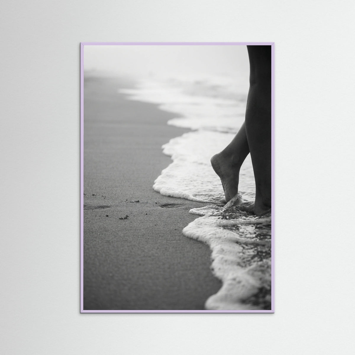 Lilac Wood Coastal Wanderer