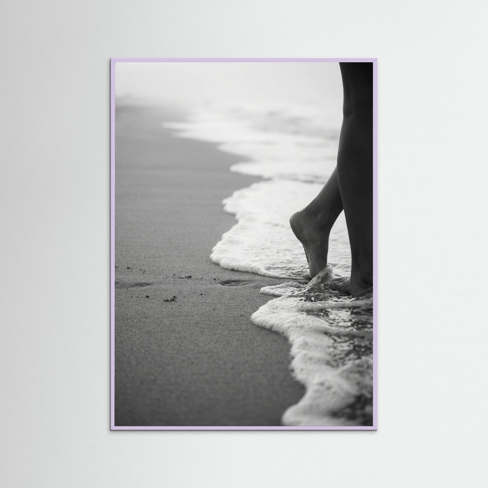 Lilac Wood Coastal Wanderer