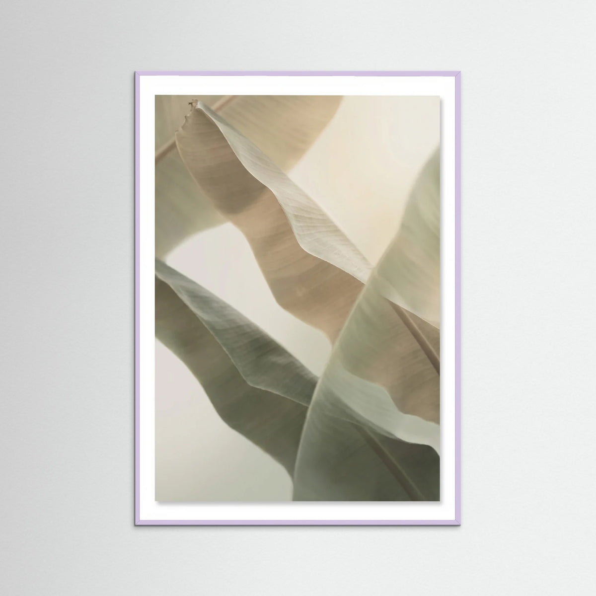 Lilac Wood Coastal Whisper