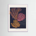 Affiche Coral Garden Careless Reef – affiche et impression d’art
