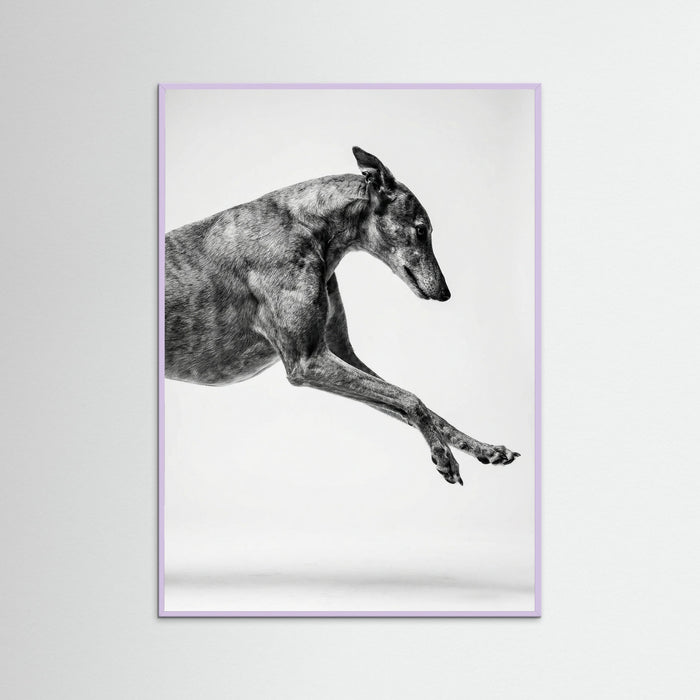 Lilac Wood Dancing Stripes