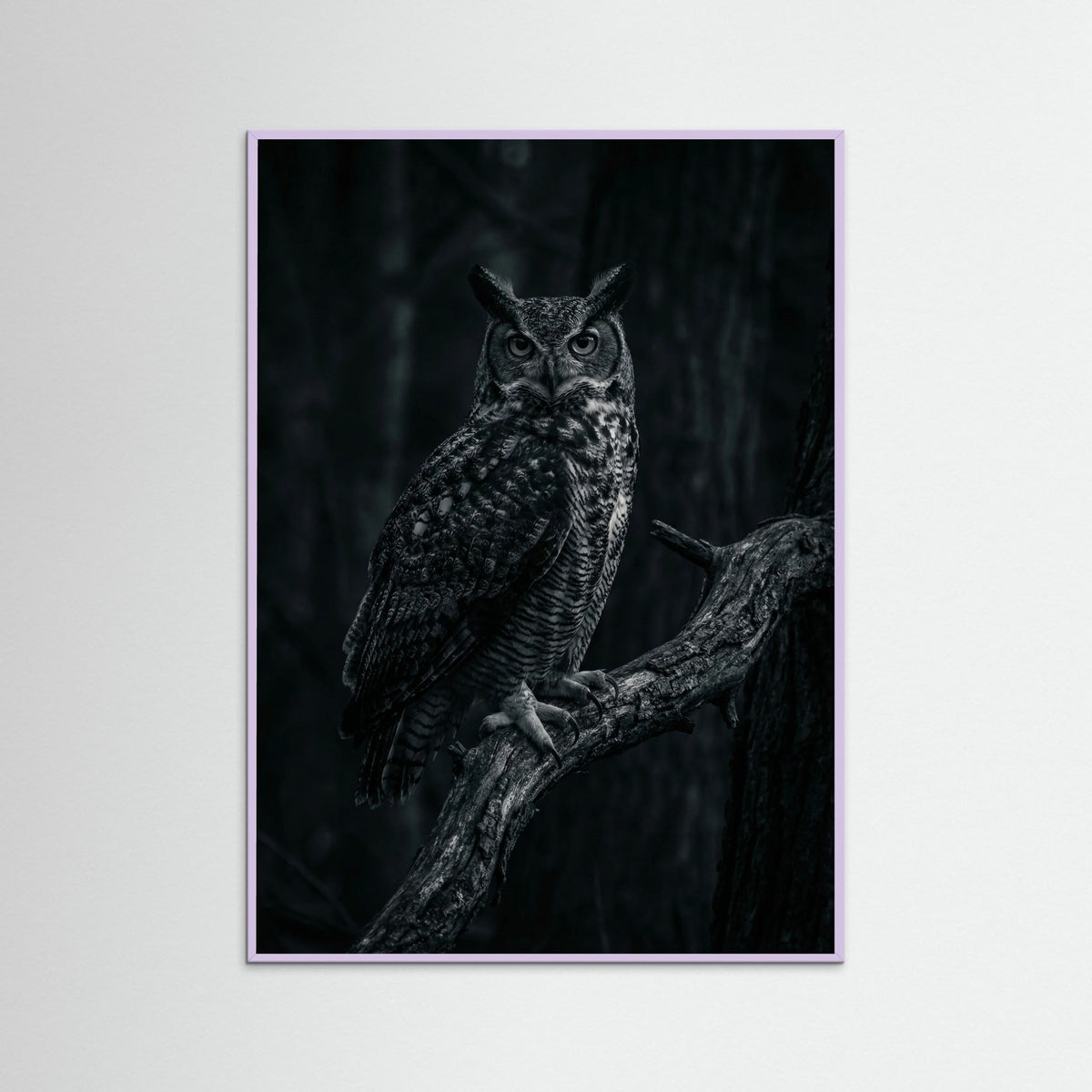 Lilac Wood Dark Congregation