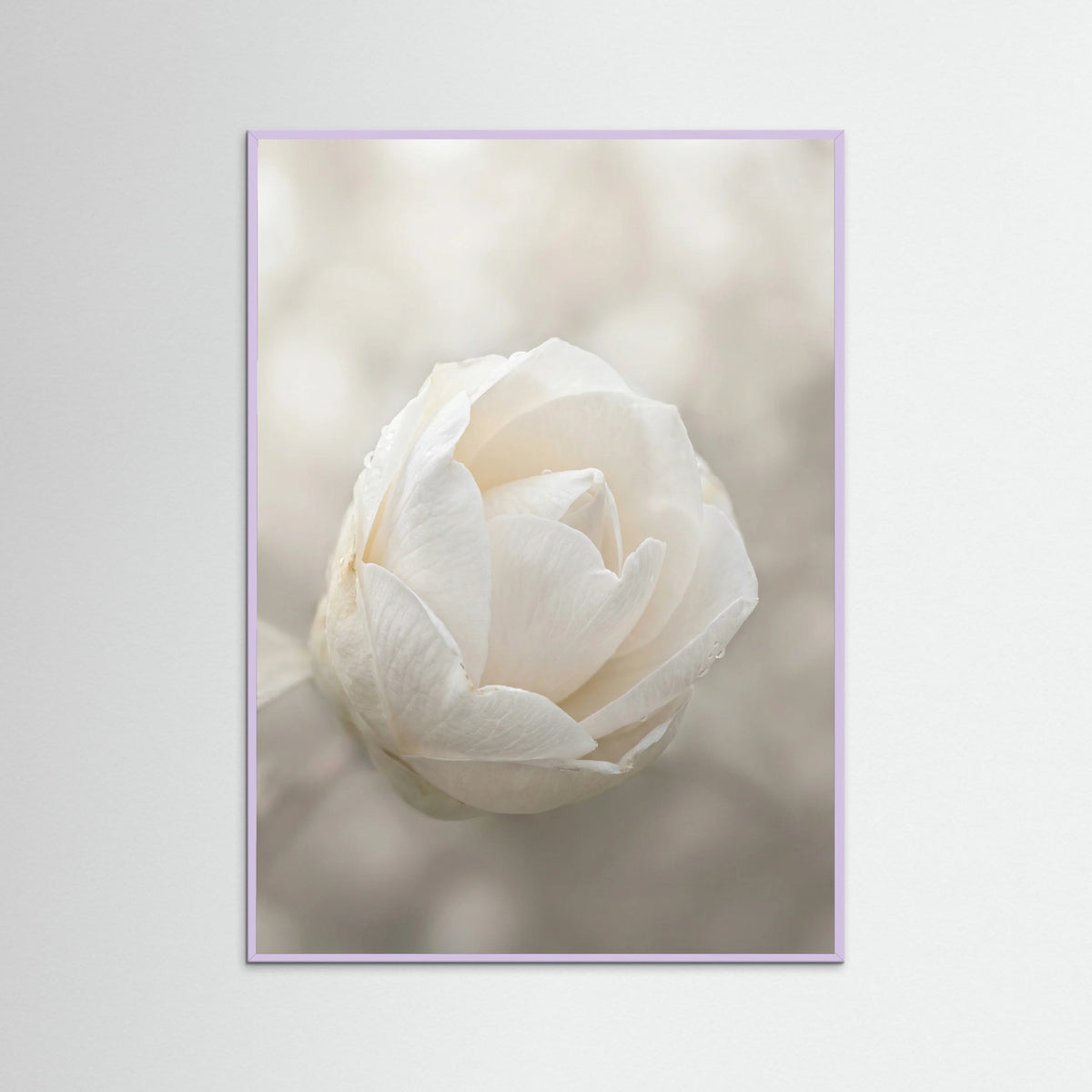 Lilac Wood Delicate Floral Bloom