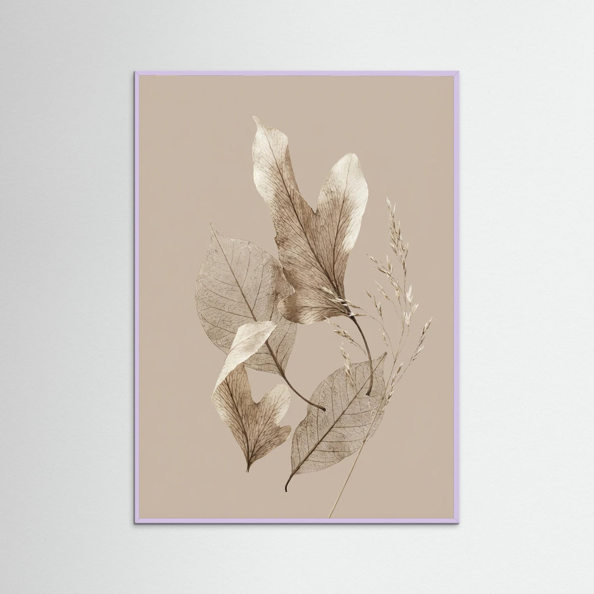 Lilac Wood Desert Bloom