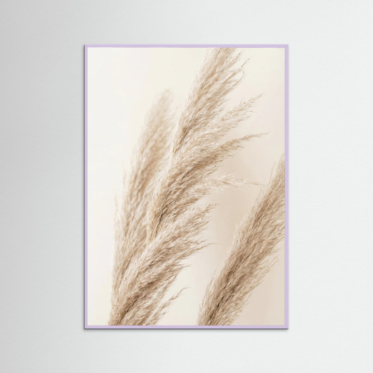 Lilac Wood Desert Fans