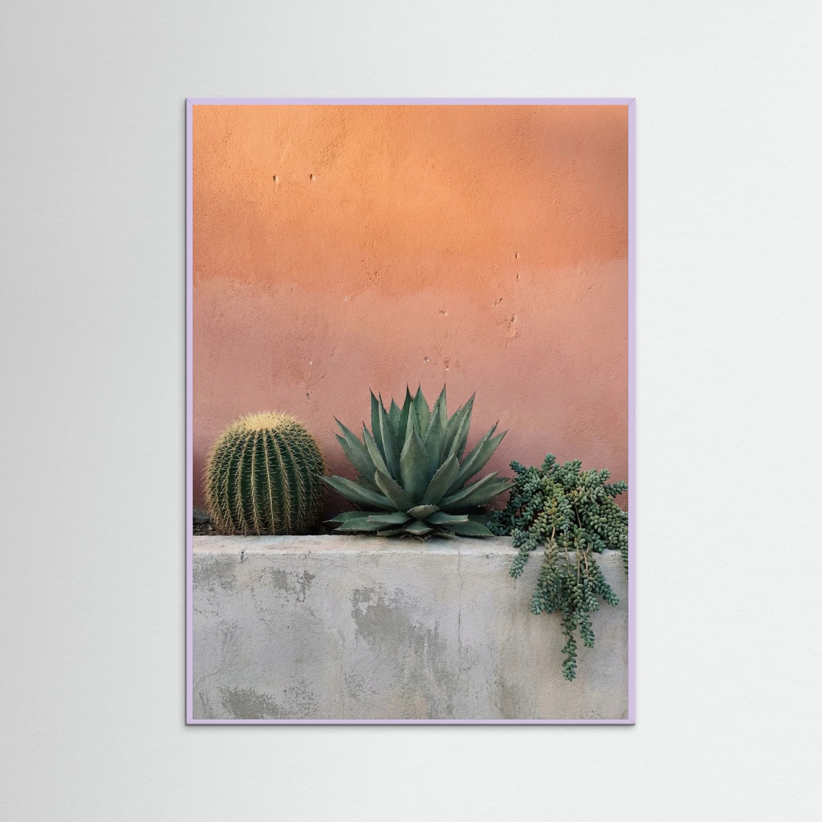 Lilac Wood Desert Sentinel