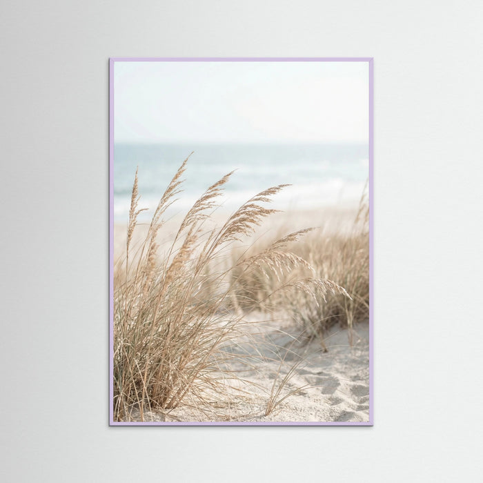 Lilac Wood Dune Path Serenity