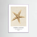 Affiche Estrella De Mar – affiche et impression d’art