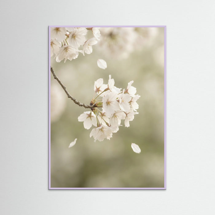 Lilac Wood Ethereal Bloom White