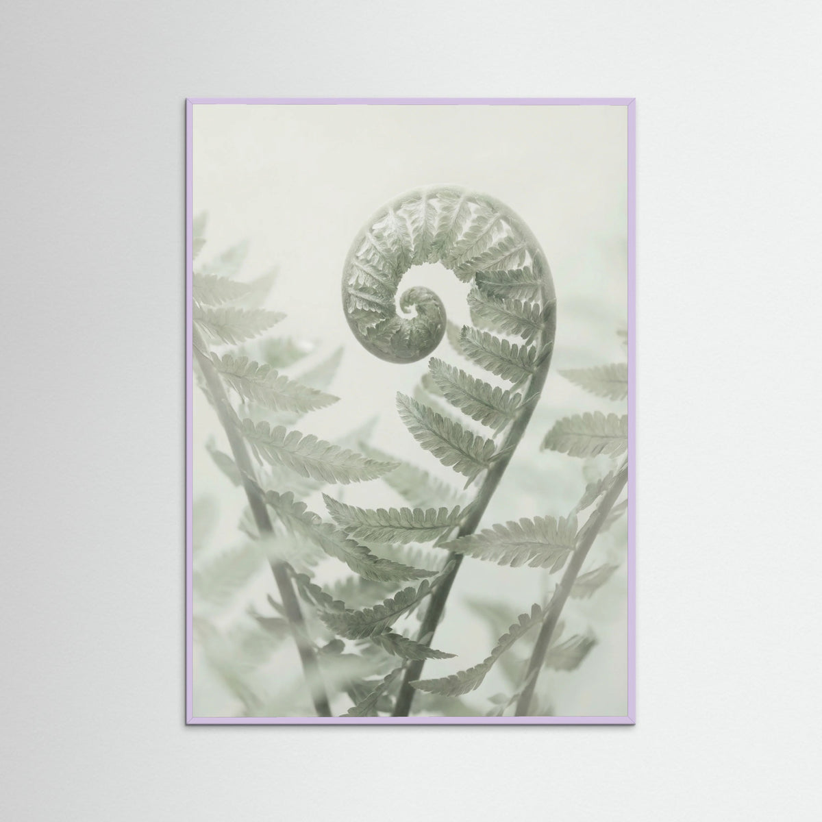 Lilac Wood Ethereal Eucalyptus