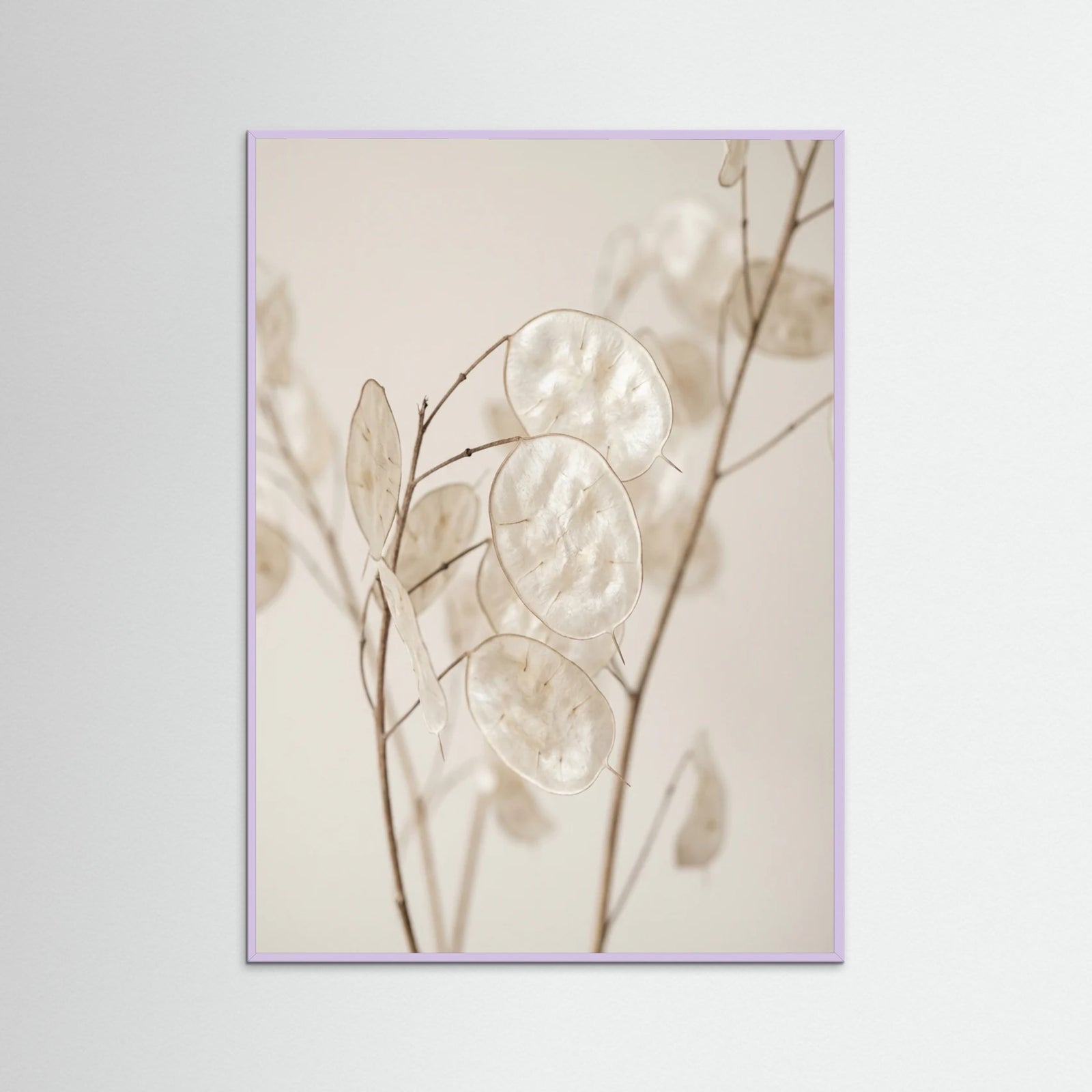 Lilac Wood Ethereal Plumes