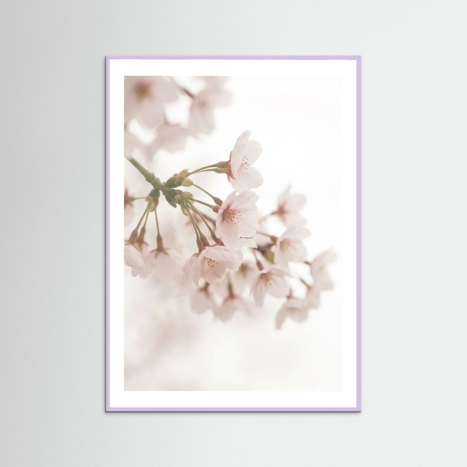 Lilac Wood Ethereal Whispers