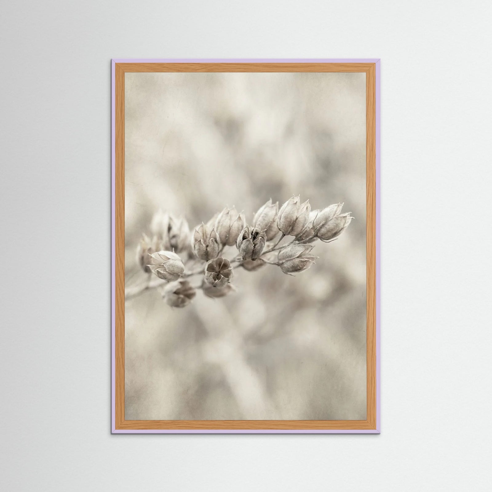 Lilac Wood Faded Whisper