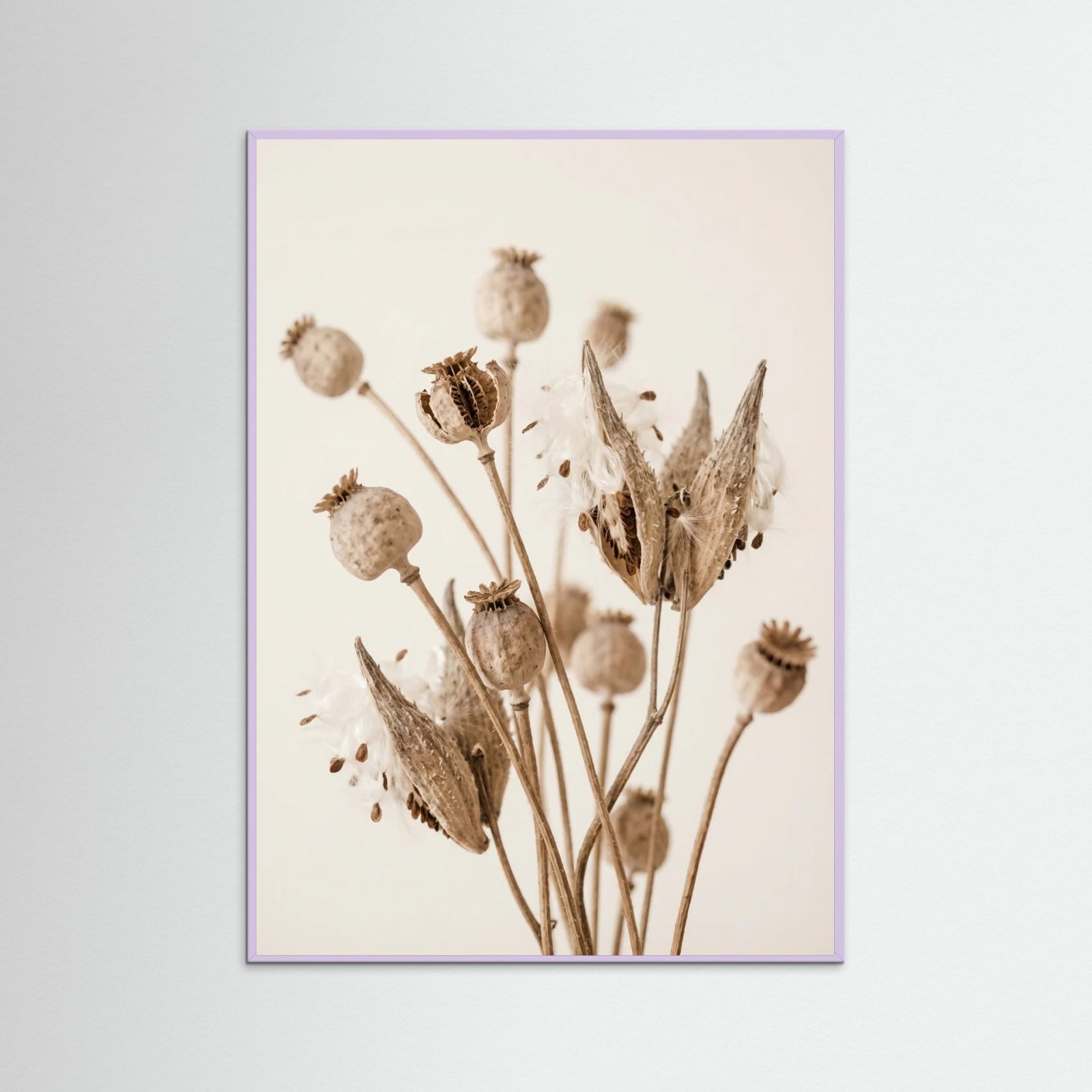 Lilac Wood Fading Whisper