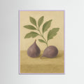 Lilac Wood Fig study