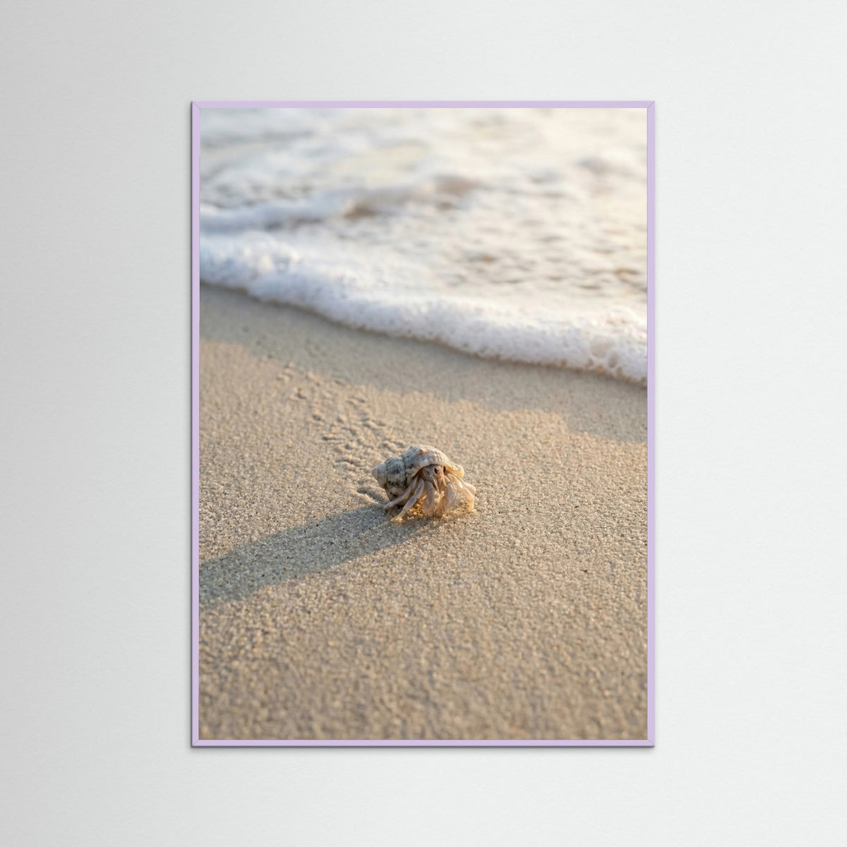 Lilac Wood First Journey