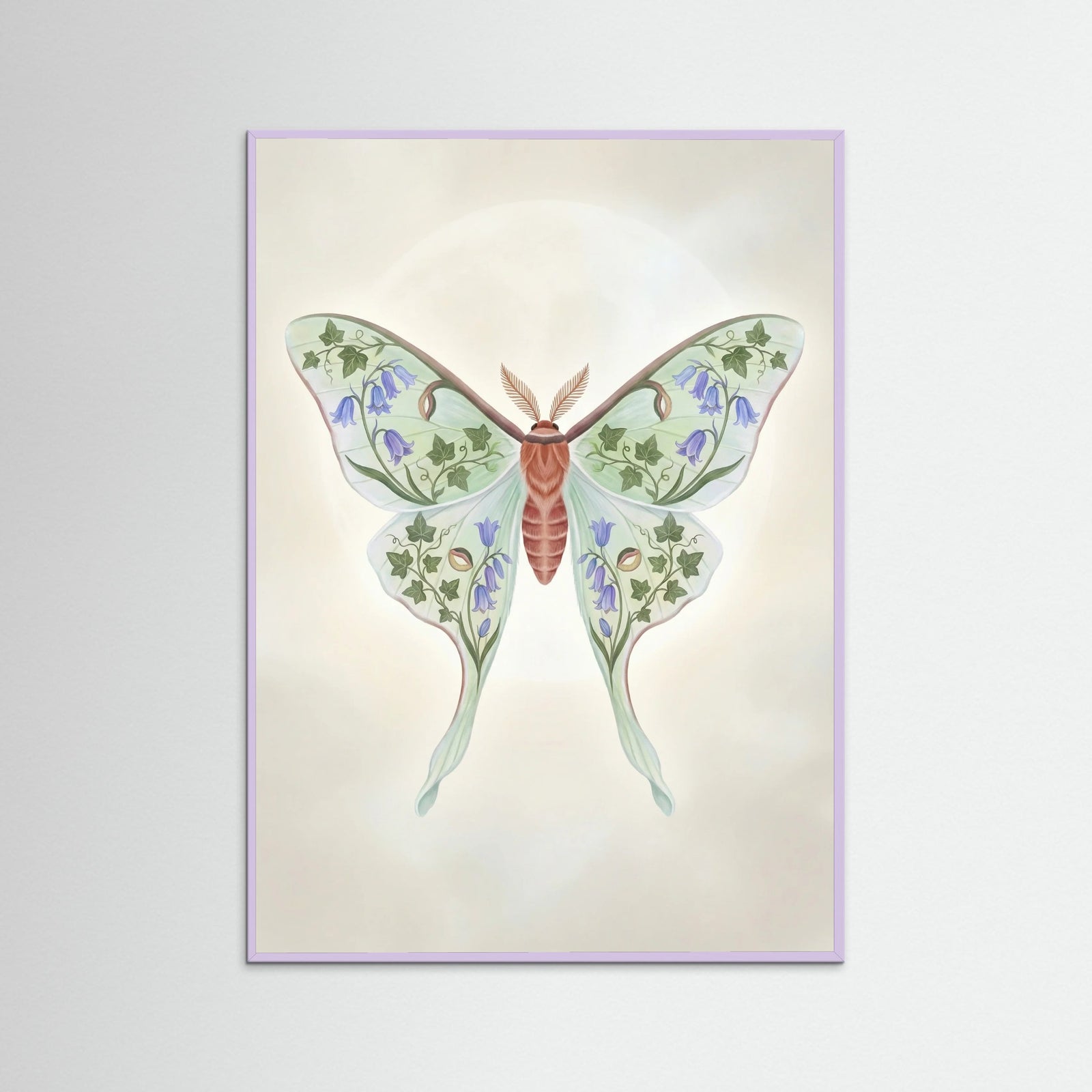 Lilac Wood Floral Moth Study