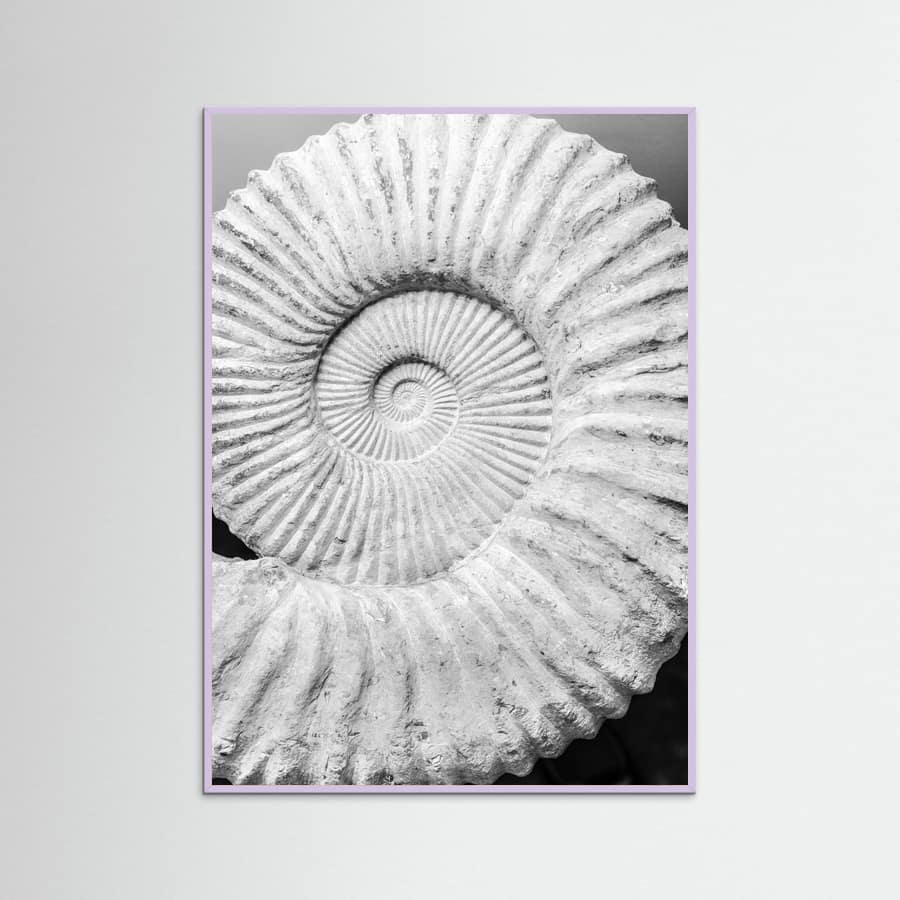 Poster Formula – poster e stampa artistica