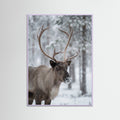 Lilac Wood Frosty Highlands