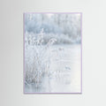 Lilac Wood Frozen Reflections