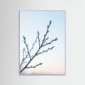Lilac Wood Frozen Whisper