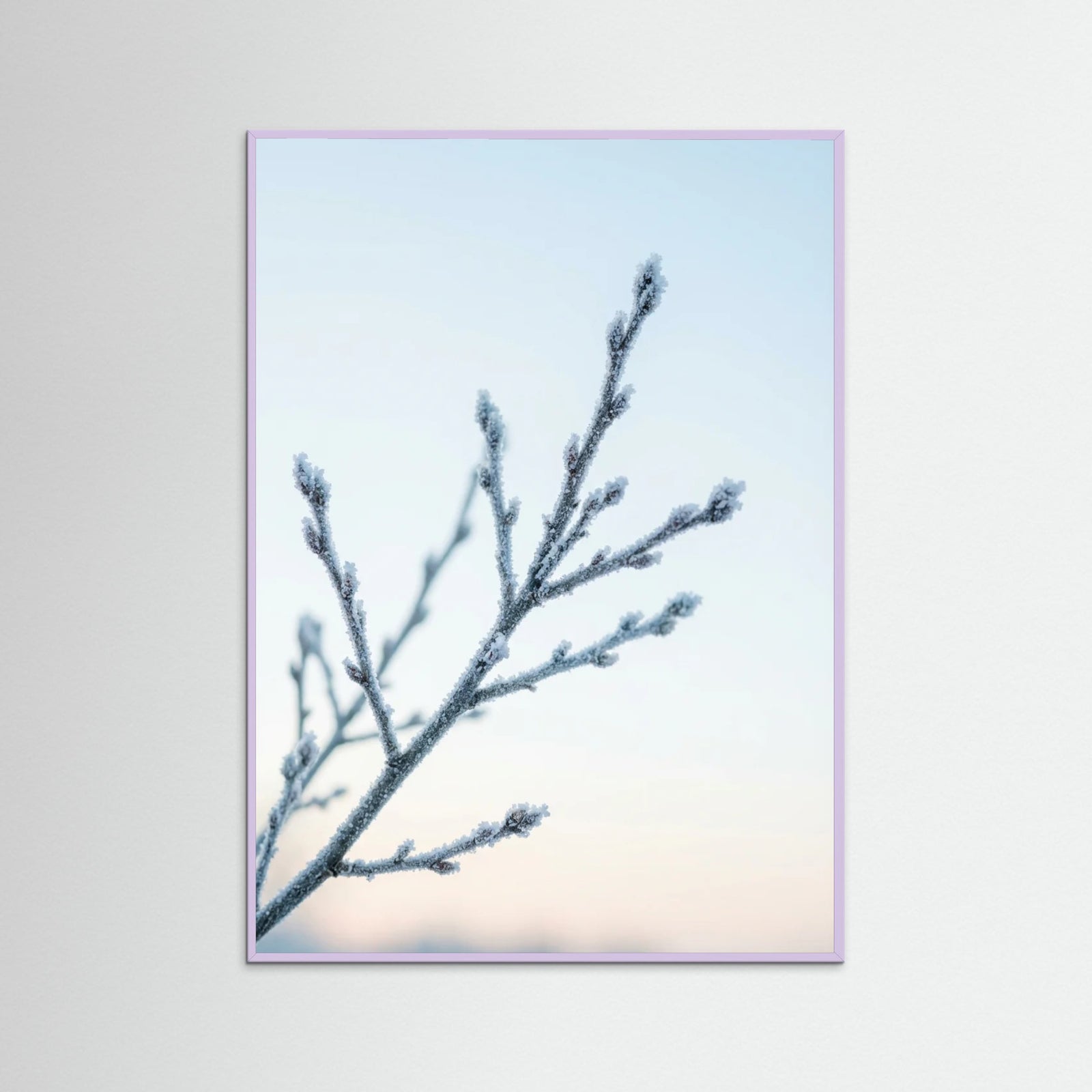 Lilac Wood Frozen Whisper
