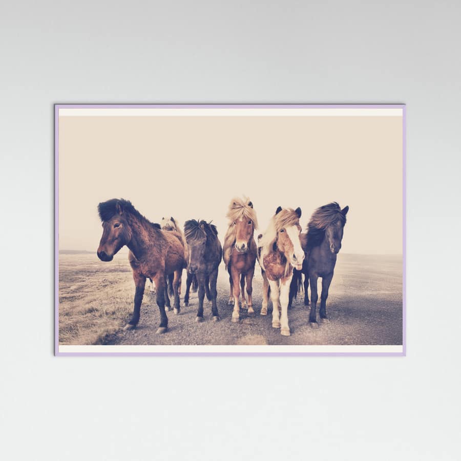 Poster Horses – poster e stampa artistica