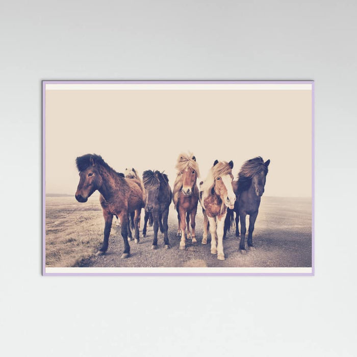 Poster Horses – poster e stampa artistica