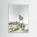 Lilac Wood Joshua Tree National Park Vintage Impression Poster