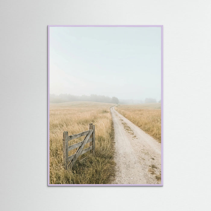 Lilac Wood Misty Coastal Path