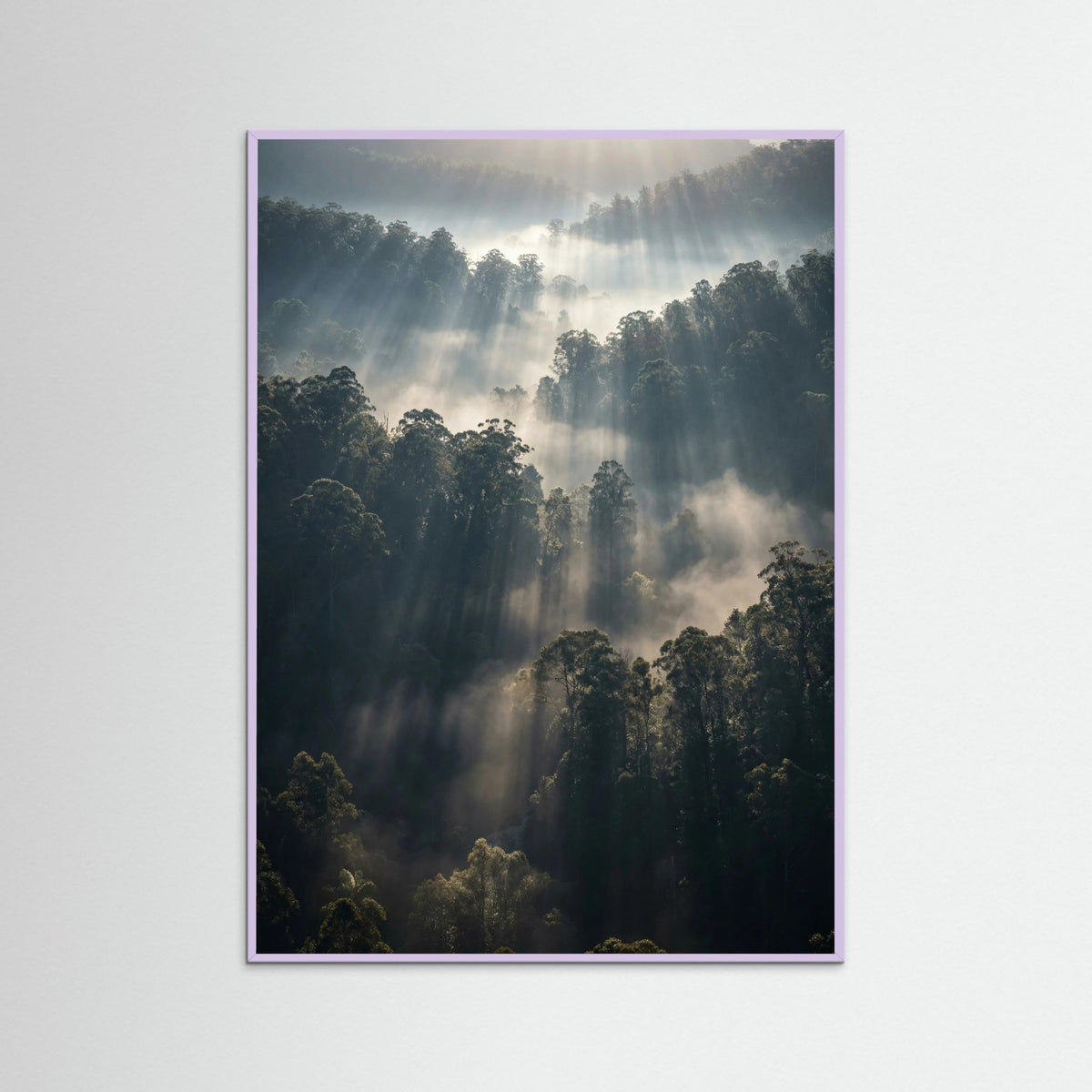 Lilac Wood Misty Mountain Lake