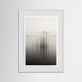 Lilac Wood Misty Solitude