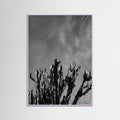 Lilac Wood Monochrome Cactus Sky Poster