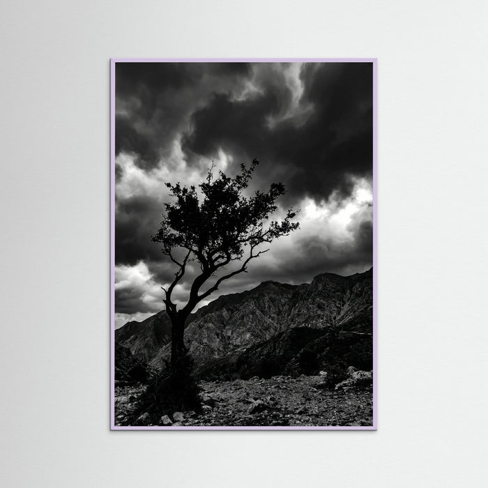 Lilac Wood Monochrome Seascape