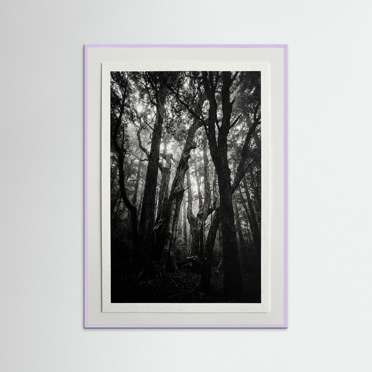 Lilac Wood Monolith Coast