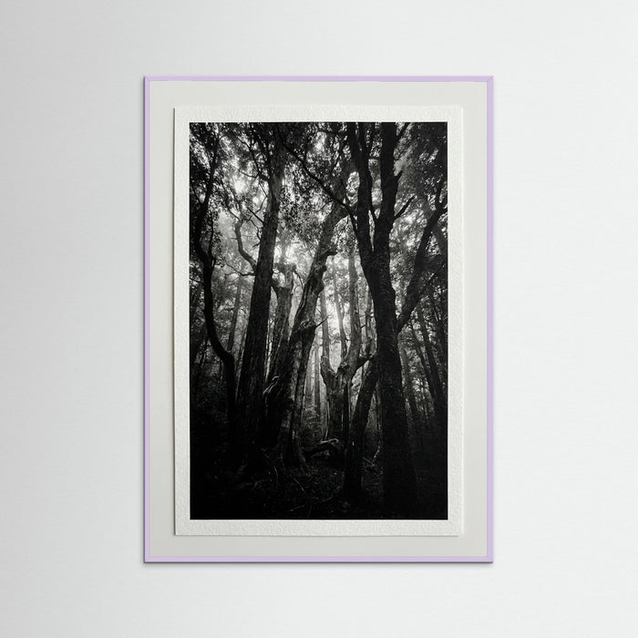 Lilac Wood Monolith Coast