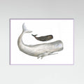 Poster Mother and Baby Sperm Whale – poster e stampa artistica