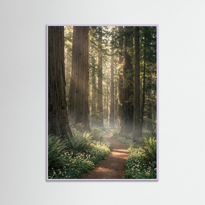 Lilac Wood Mountain Bloom Path