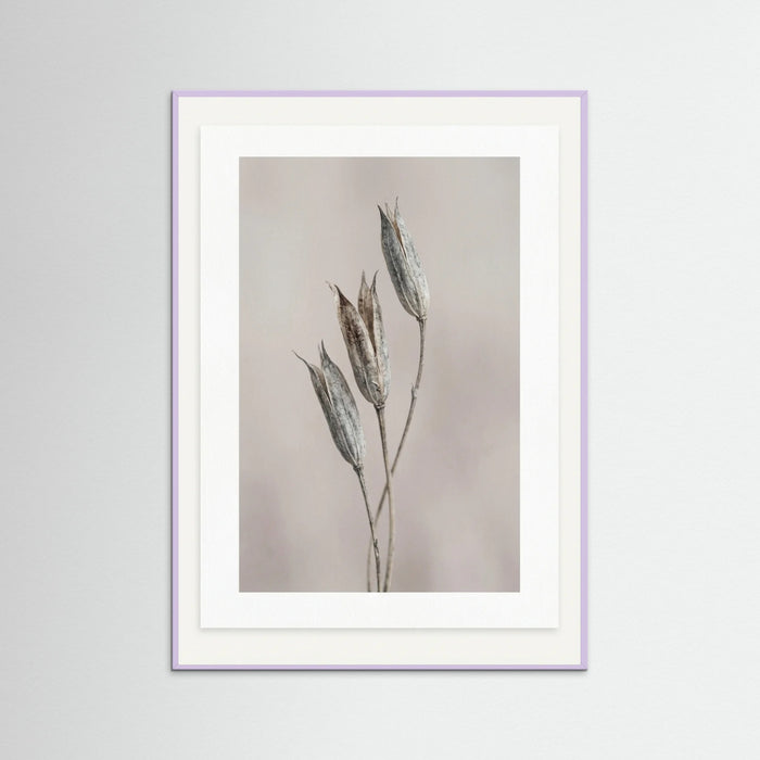 Lilac Wood Muted Bloom