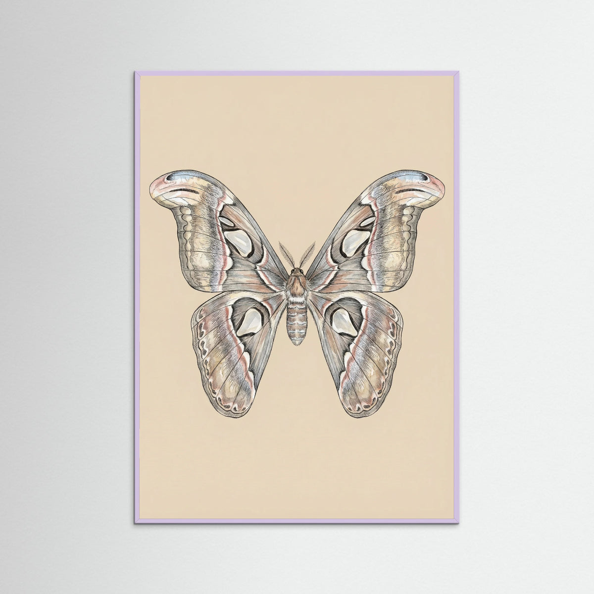 Lilac Wood Nocturnal Elegance