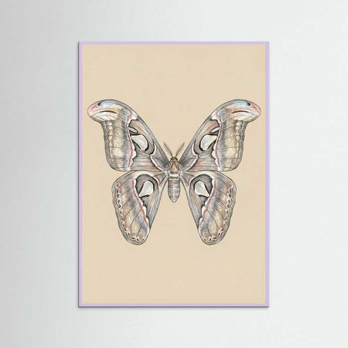 Lilac Wood Nocturnal Elegance