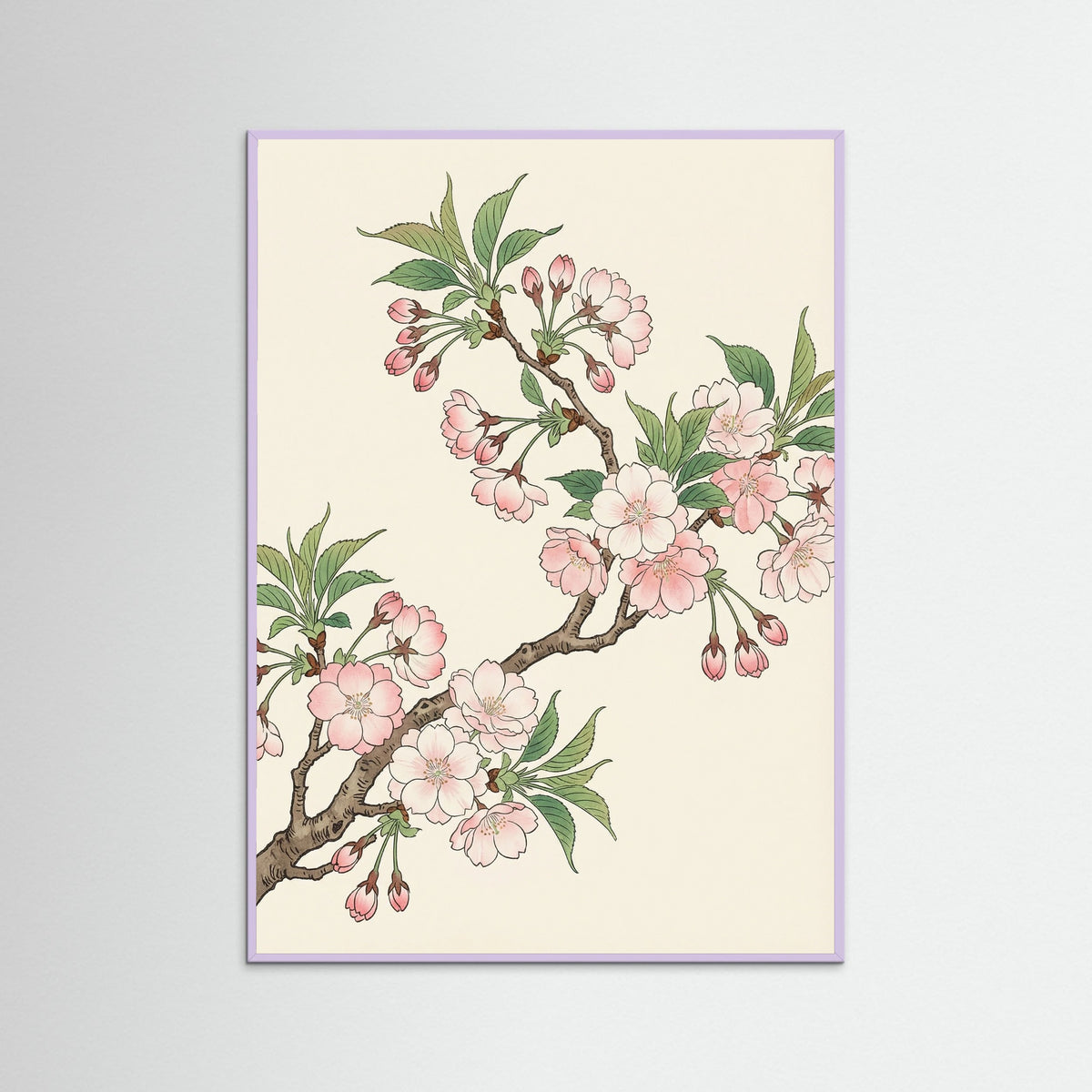 Lilac Wood Orange Poppy Grace