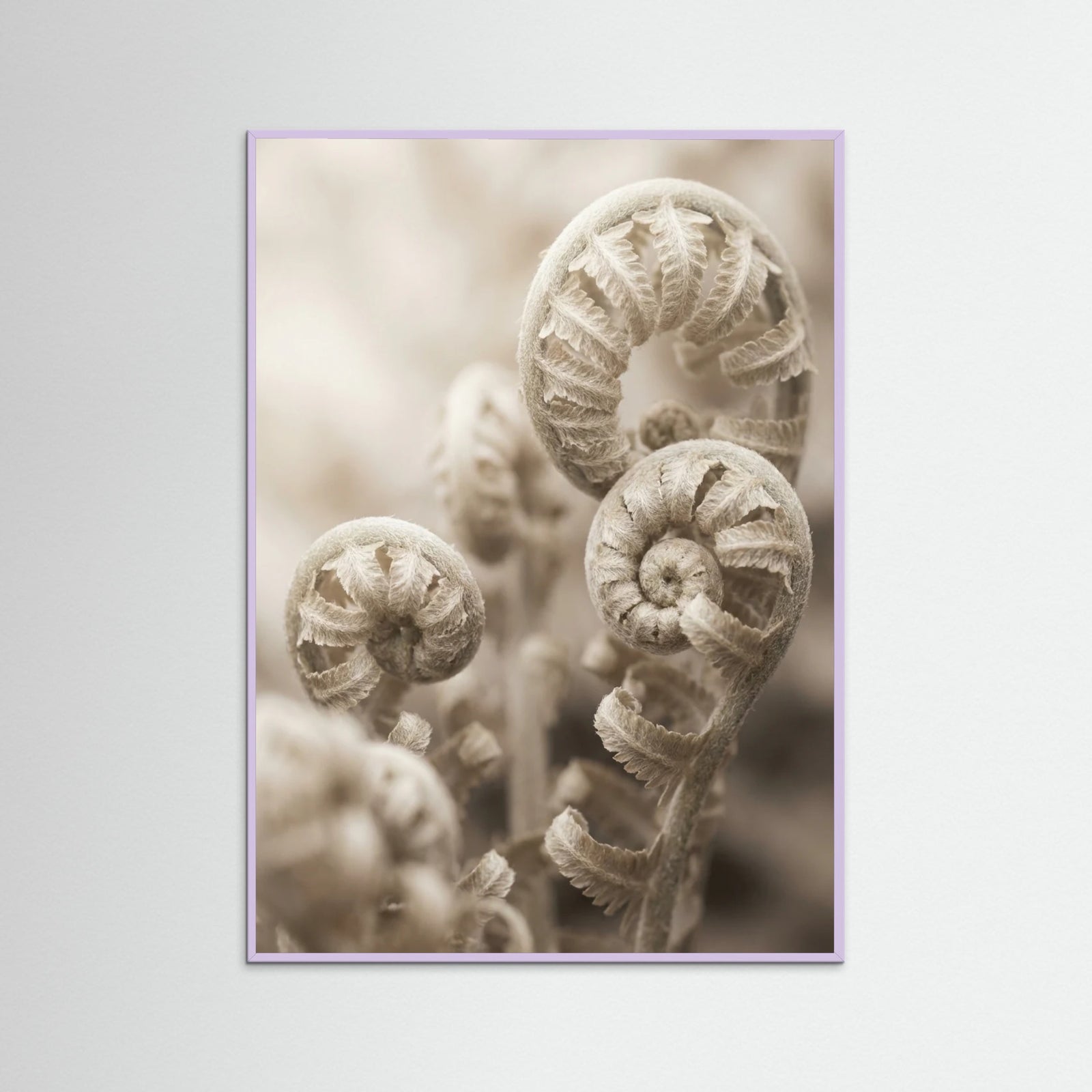 Lilac Wood Petal Serenity