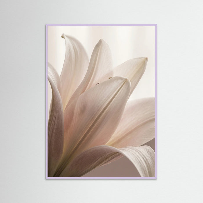 Lilac Wood Petal Whisper