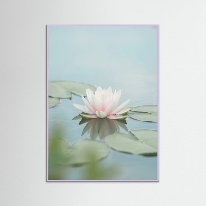 Lilac Wood Pink Lotus Serenity